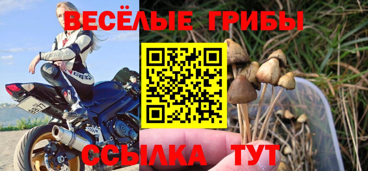 Урус-Мартан  Галлюциногенные грибы ЛСД  Галлюциногенные грибы прущие грибы  Вход с VPN 